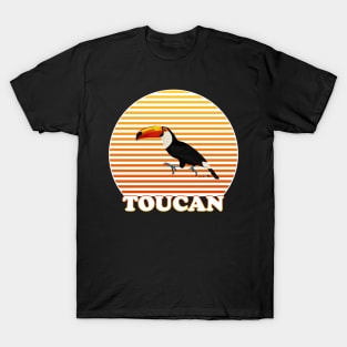 Toucan Bird Watching Birding Ornithologist Gift T-Shirt